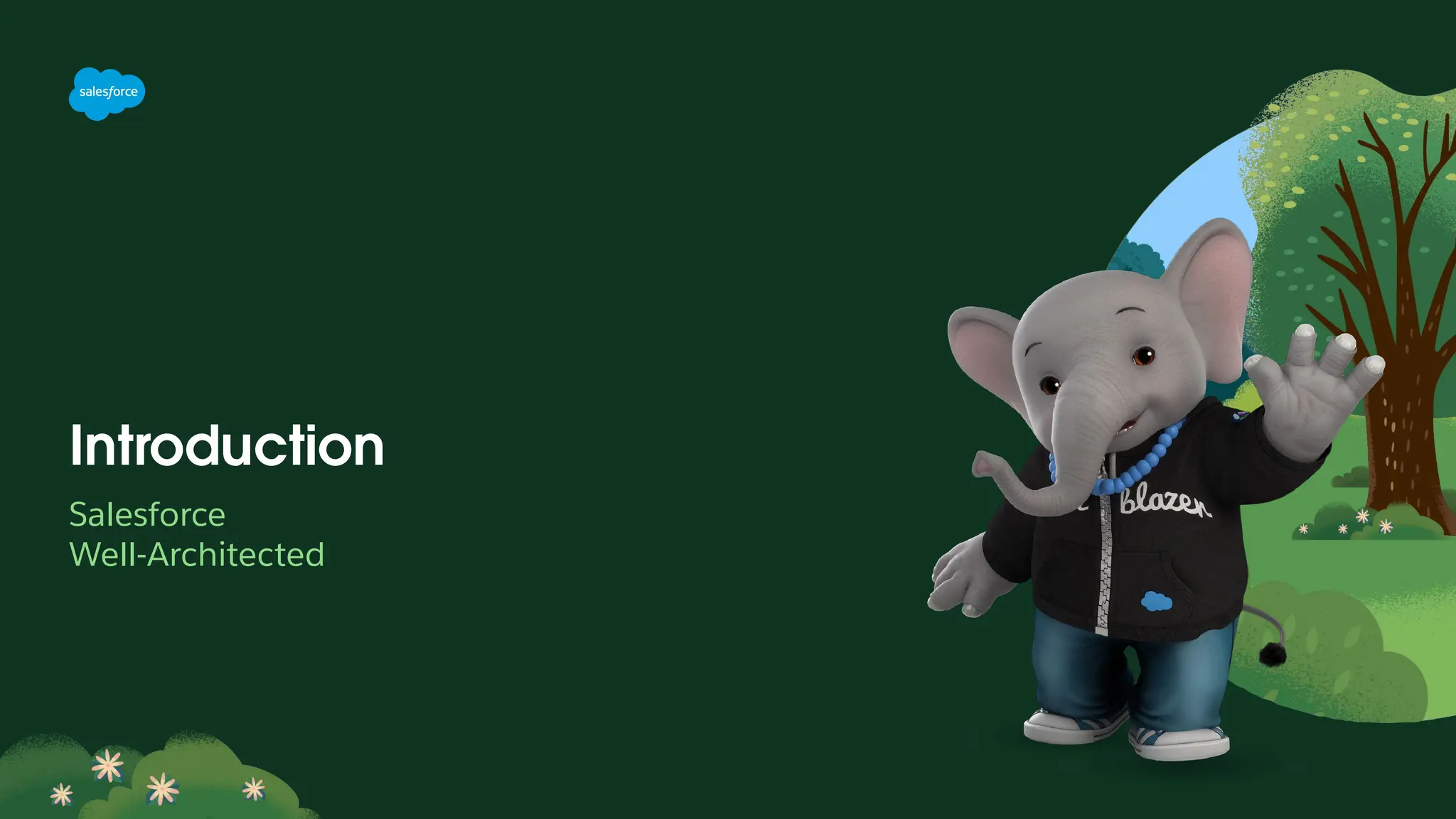 Introduction
Salesforce
Well-Architected
 