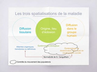 Origine, lieu
d’éclosion
Les trois spatialisations de la maladie
Diffusion
tissulaire
Diffusion
dans le
groupe
humain
Atteintes organiques,
transitoires ou définitives
Normativité de G. Canguilhem
Épidémiologie étiologique
Épidémiologie de
dissémination mais aussi de
représentation sociale
Contrôle du mouvement des populations
 