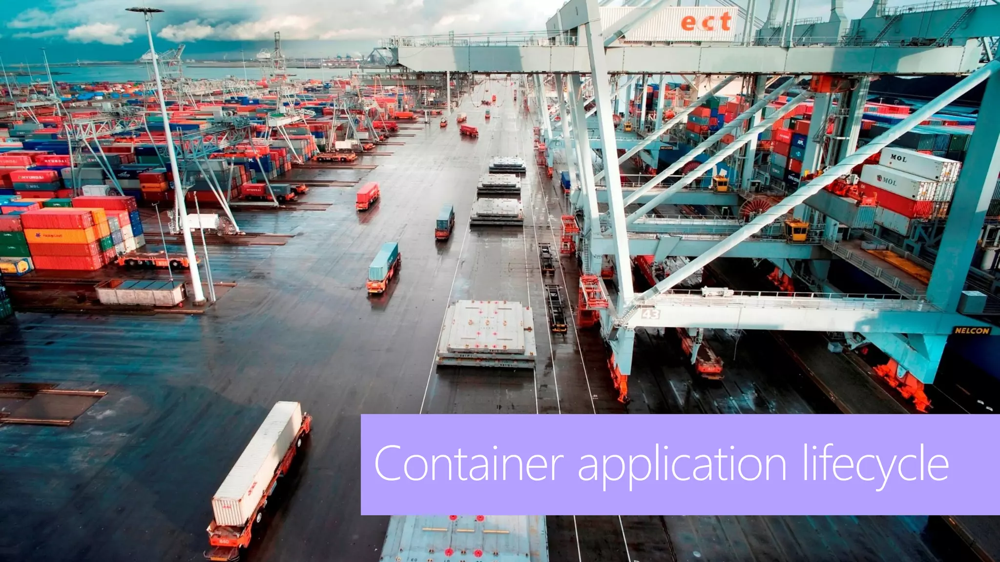13
Container application lifecycle
 