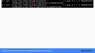 Curling the same Route results in two different applications responding. @barkerd427
 