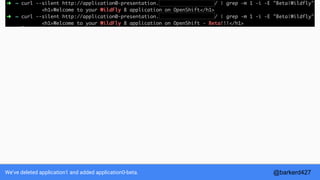 We’ve deleted application1 and added application0-beta. @barkerd427
 