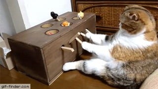 CoreOS
Operators are
magical
(not really)
@barkerd427
 