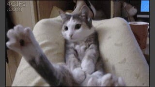 Deployment
Pipeline’s have
fallen behind
@barkerd427
 