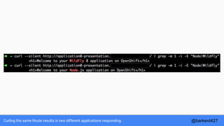 Curling the same Route results in two different applications responding. @barkerd427
 