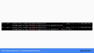 We’ve deleted application1 and added application0-beta. @barkerd427
 