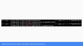 Curling the same Route results in two different applications responding.
 
