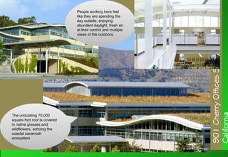People working here feel
like they are spending the
day outside, enjoying
abundant daylight, fresh air
at their control and multiple
views of the outdoors.
People working here feel
like they are spending the
day outside, enjoying
abundant daylight, fresh air
at their control and multiple
views of the outdoors.
The undulating 70,000
square foot roof is covered
in native grasses and
wildflowers, echoing the
coastal savannah
ecosystem
The undulating 70,000
square foot roof is covered
in native grasses and
wildflowers, echoing the
coastal savannah
ecosystem
901CherryOfficesSanBruno,
California
 