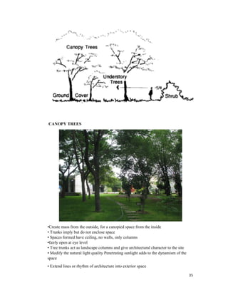 35
CANOPY TREES
•Create mass from the outside, for a canopied space from the inside
• Trunks imply but do not enclose space
• Spaces formed have ceiling, no walls, only columns
•fairly open at eye level
• Tree trunks act as landscape columns and give architectural character to the site
• Modify the natural light quality Penetrating sunlight adds to the dynamism of the
space
• Extend lines or rhythm of architecture into exterior space
 