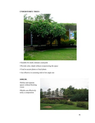 36
UNDERSTOREY TREES
• Suitable for small, intimate courtyards
• Provide color, shade without overpowering the space
• Used as accent plants or focal plants
• Are effective in screening mid or low angle sun
SHRUBS
•Define and separate
spaces without blocking
vision
•Shrubs can effectively
unify a composition
 