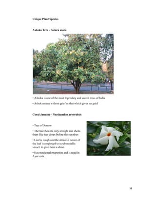 38
Unique Plant Species
Ashoka Tree - Saraca asoca
• Ashoka is one of the most legendary and sacred trees of India
• Ashok means without grief or that which gives no grief
Coral Jasmine - Nycthanthes arbortistis
• Tree of Sorrow
• The tree flowers only at night and sheds
them like tear drops before the sun rises
• Leaf is rough and the abrasive nature of
the leaf is employed to scrub metallic
vessel, to give them a shine.
• Has medicinal properties and is used in
Ayurveda
 