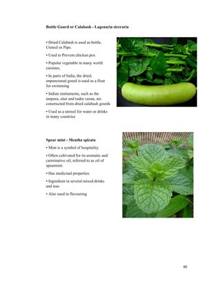 40
Bottle Gourd or Calabash - Lagenaria siceraria
• Dried Calabash is used as bottle,
Utensil or Pipe.
• Used to Prevent chicken pox
• Popular vegetable in many world
cuisines,
• In parts of India, the dried,
unpunctured gourd is used as a float
for swimming
• Indian instruments, such as the
tanpura, sitar and rudra veena, are
constructed from dried calabash gourds
• Used as a utensil for water or drinks
in many countries
Spear mint - Mentha spicata
• Mint is a symbol of hospitality
• Often cultivated for its aromatic and
carminative oil, referred to as oil of
spearmint.
• Has medicinal properties
• Ingredient in several mixed drinks
and teas
• Also used in flavouring
 