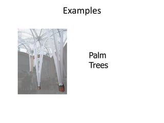 Examples
Palm
Trees
 