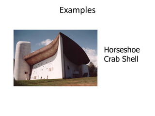 Examples
Horseshoe
Crab Shell
 