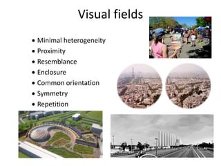 Visual fields
 Minimal heterogeneity
 Proximity
 Resemblance
 Enclosure
 Common orientation
 Symmetry
 Repetition
 