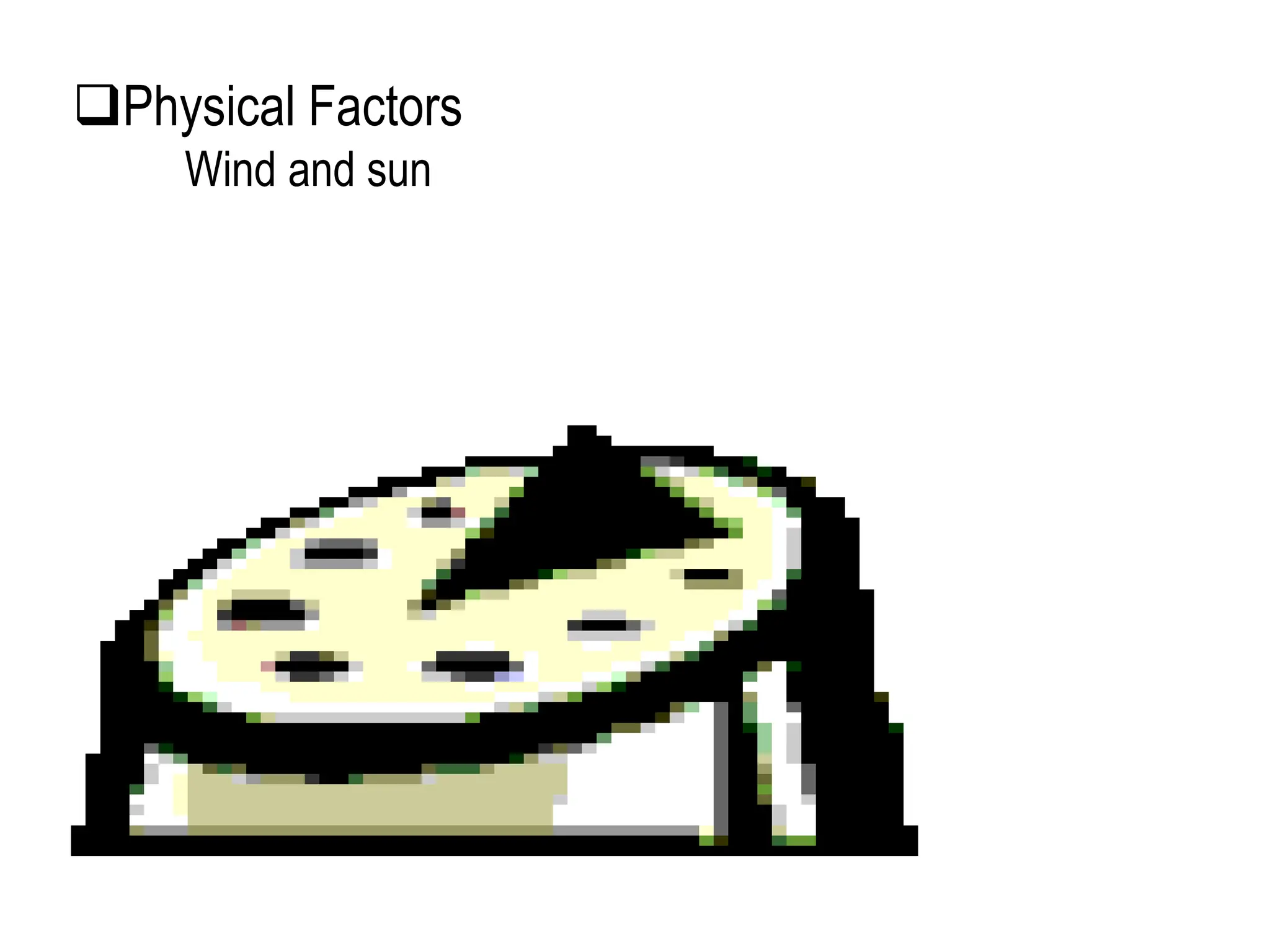Physical Factors
Wind and sun
 