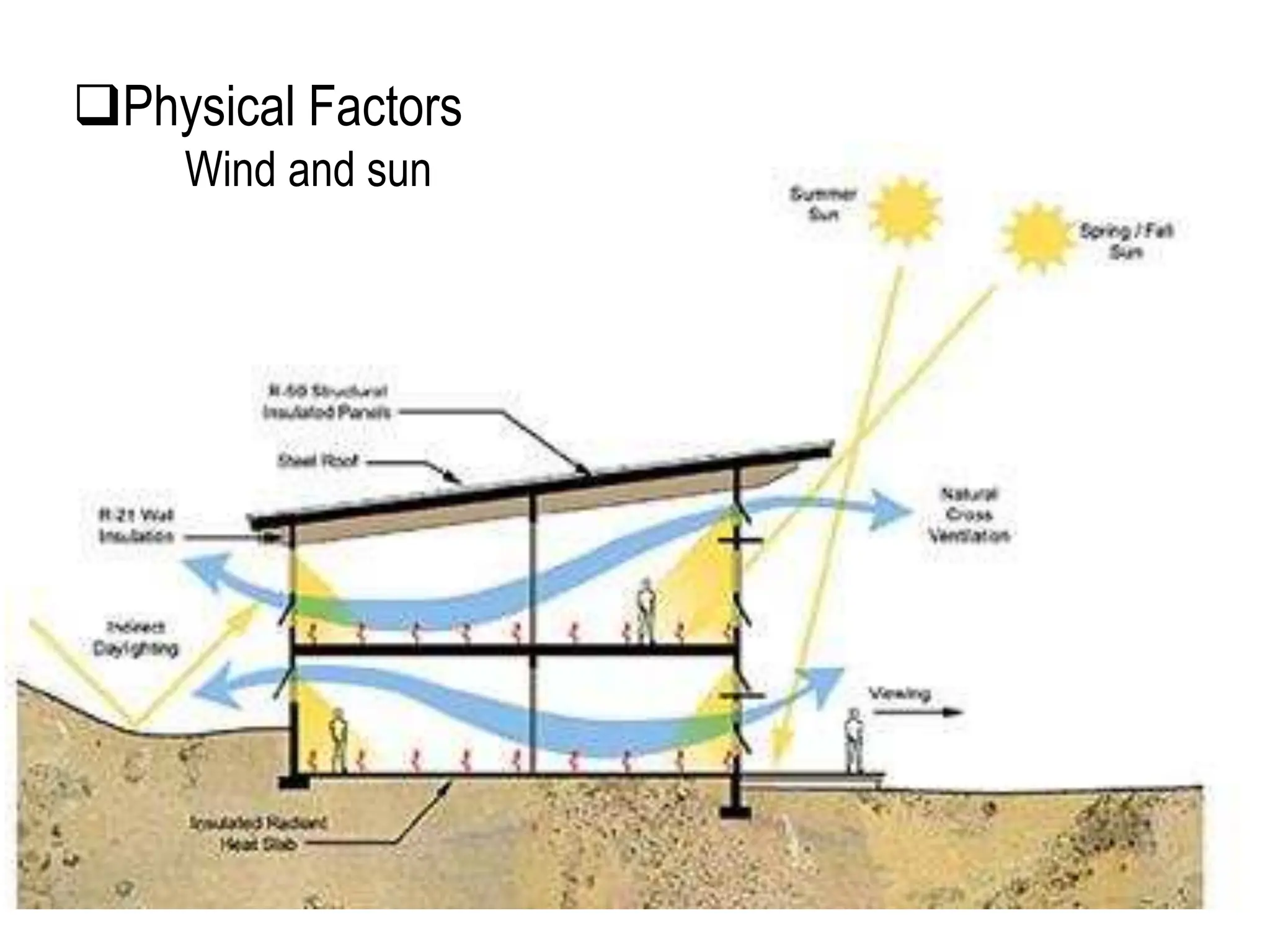 Physical Factors
Wind and sun
 