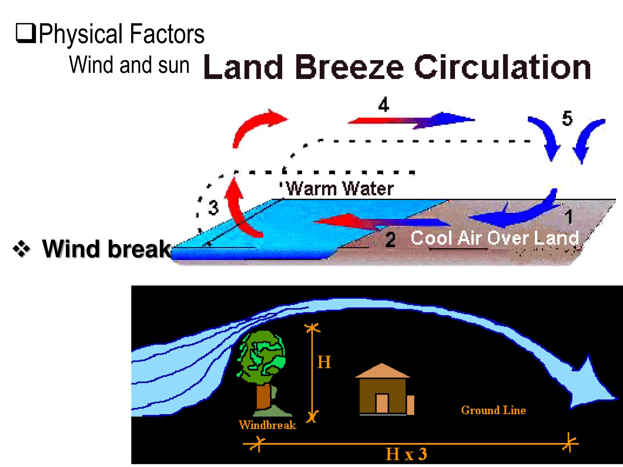  Wind break
Physical Factors
Wind and sun
 