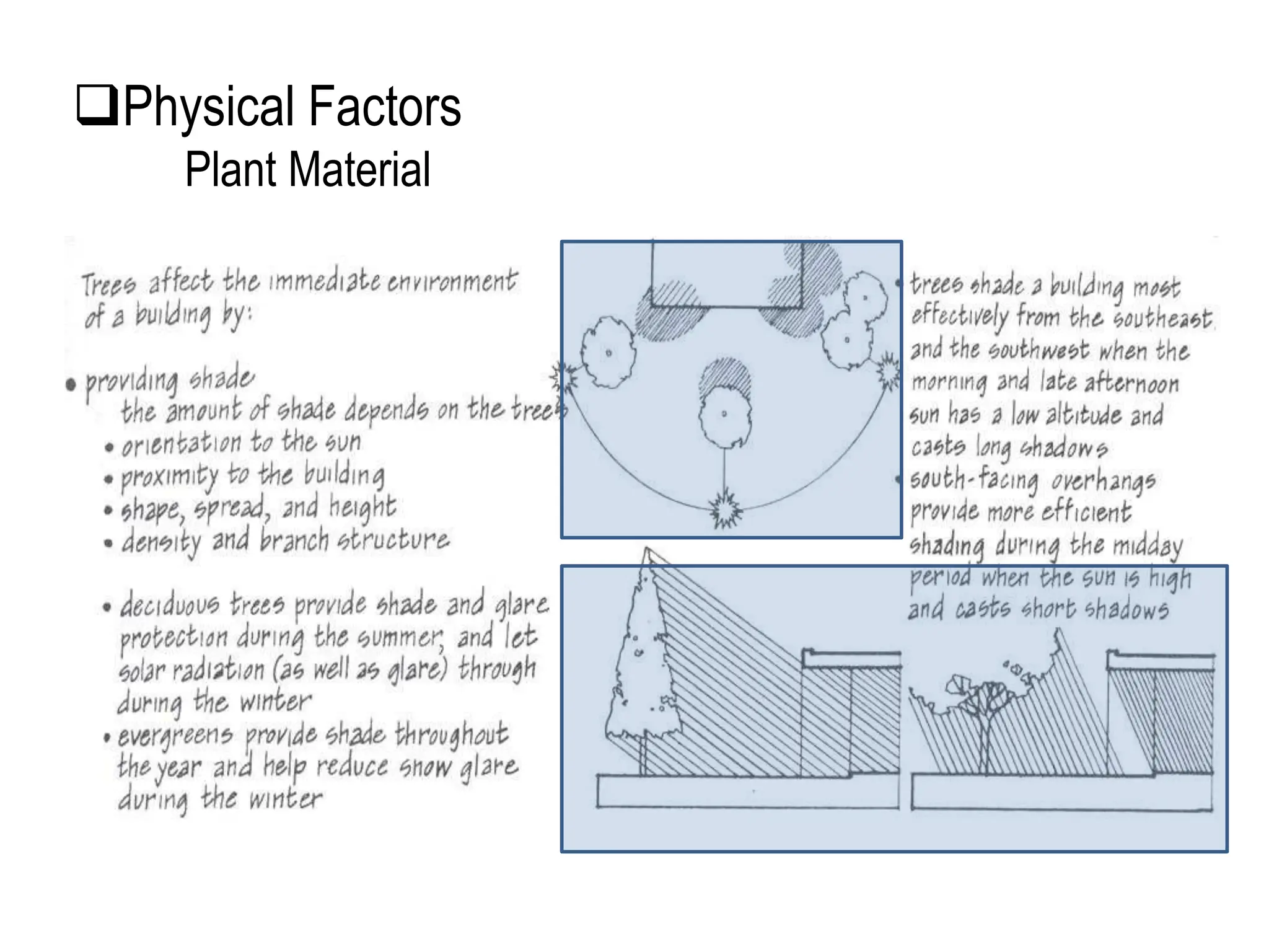 Physical Factors
Plant Material
 