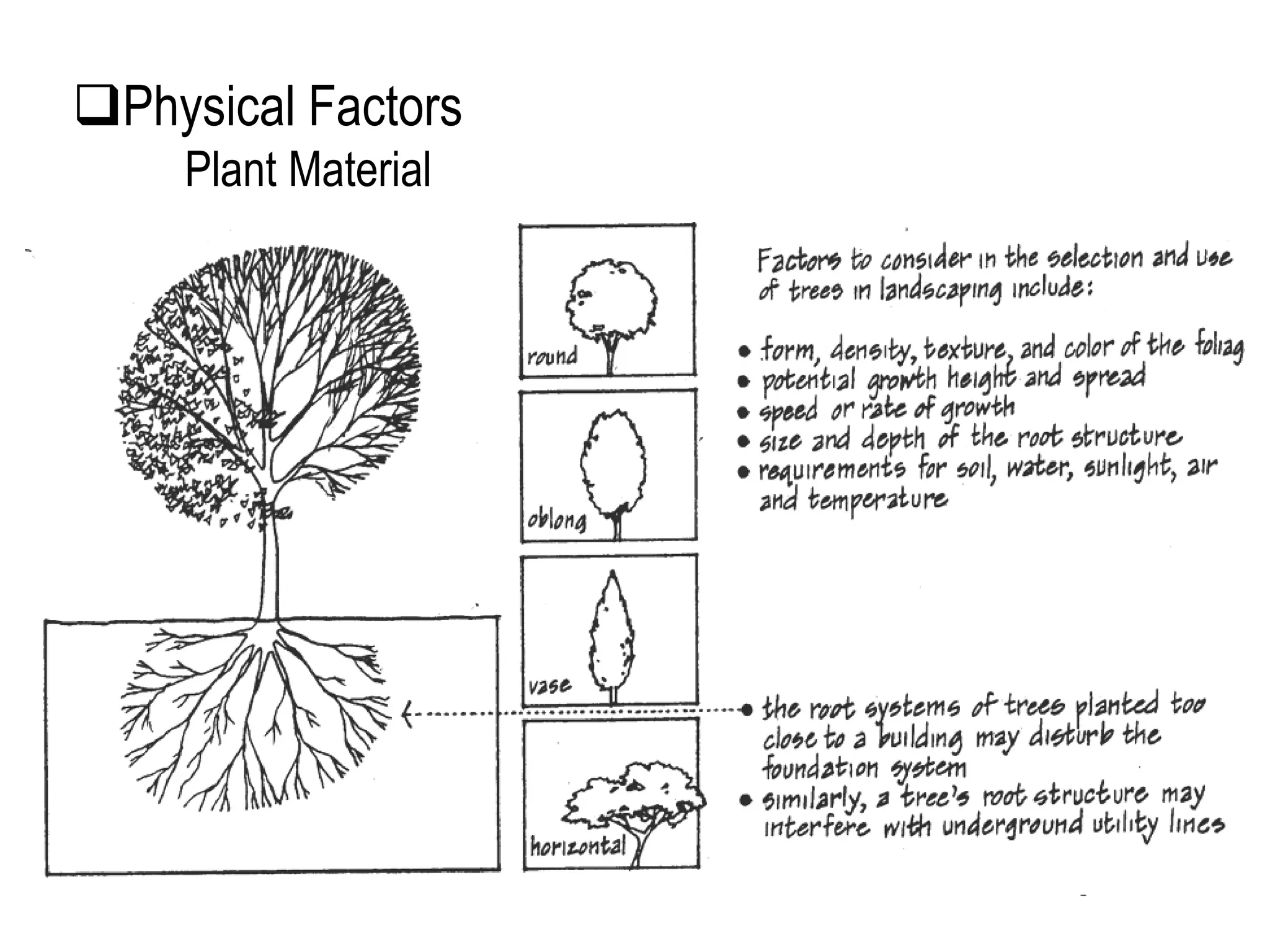 Physical Factors
Plant Material
 