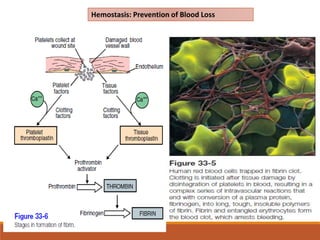 Hemostasis: Prevention of Blood Loss
 