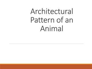 Architectural
Pattern of an
Animal
 