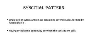 SYNCiTIAL PATTERN
• Single cell or cytoplasmic mass containing several nuclei, formed by
fusion of cells .
• Having cytoplasmic continuity between the constituent cells
 