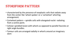 STORIFORM PATTERN
• characterized by the presence of neoplastic cells that radiate away
from the center like 'wheel spokes' or a 'cartwheel' whorling
arrangement.
• Cartwheel pattern – spindle cells with elongated nuclei radiating
from a centre point.
• Cellular spindled lesion with whorls as opposed to parallel fascicles or
right angle bundles.
• Tumour cells are arranged radially in whorls around an imaginary
stem
 