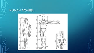 HUMAN SCALES:-
 