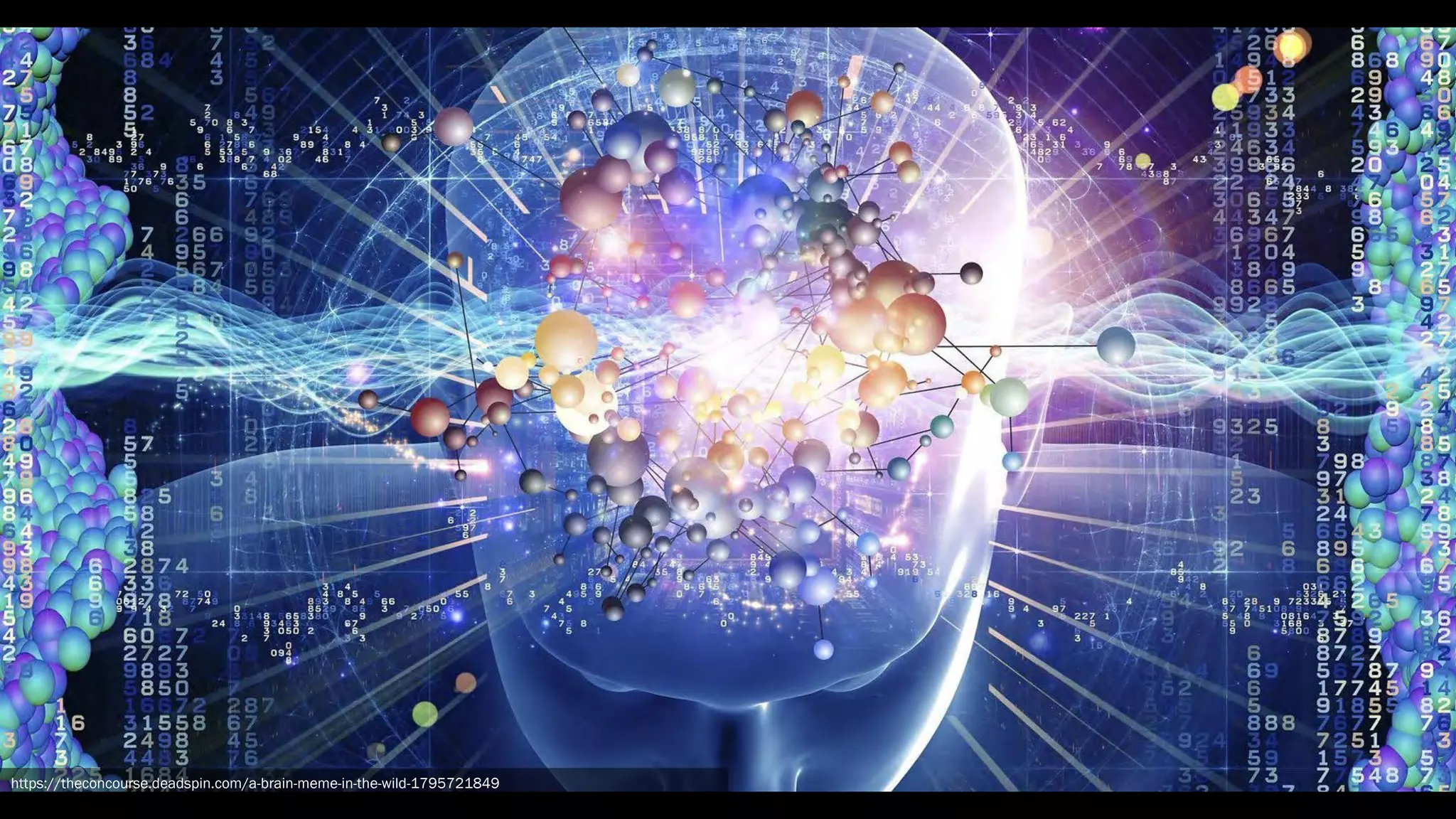 DESIGN YOUR SOLUTION
https://theconcourse.deadspin.com/a-brain-meme-in-the-wild-1795721849
 