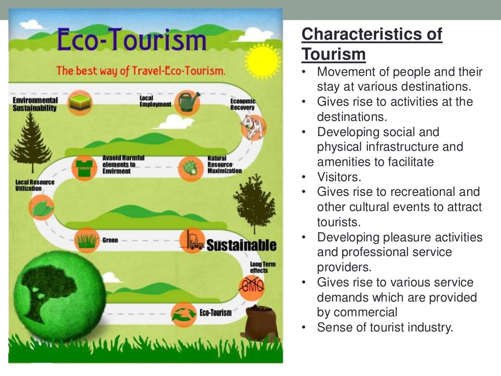 ecotourism dissertation
