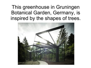 This greenhouse in Gruningen
Botanical Garden, Germany, is
inspired by the shapes of trees.
 