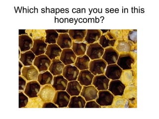 Which shapes can you see in this
honeycomb?
 