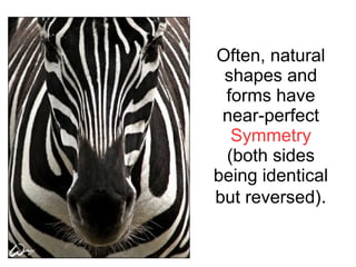 Often, natural
shapes and
forms have
near-perfect
Symmetry
(both sides
being identical
but reversed).
 