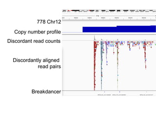 Architecture and evolution of neochromosomes | PPTX