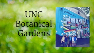UNC
Botanical
Gardens
 