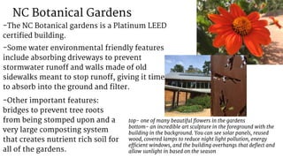 NC Botanical Gardens
-The NC Botanical gardens is a Platinum LEED
certified building.
top- one of many beautiful flowers in the gardens
bottom- an incredible art sculpture in the foreground with the
building in the background. You can see solar panels, reused
wood, covered lamps to reduce night light pollution, energy
efficient windows, and the building overhangs that deflect and
allow sunlight in based on the season
-Other important features:
bridges to prevent tree roots
from being stomped upon and a
very large composting system
that creates nutrient rich soil for
all of the gardens.
-Some water environmental friendly features
include absorbing driveways to prevent
stormwater runoff and walls made of old
sidewalks meant to stop runoff, giving it time
to absorb into the ground and filter.
 