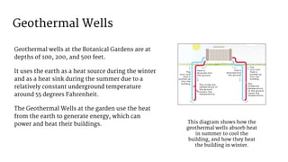 Geothermal Wells
Geothermal wells at the Botanical Gardens are at
depths of 100, 200, and 500 feet.
It uses the earth as a heat source during the winter
and as a heat sink during the summer due to a
relatively constant underground temperature
around 55 degrees Fahrenheit.
The Geothermal Wells at the garden use the heat
from the earth to generate energy, which can
power and heat their buildings. This diagram shows how the
geothermal wells absorb heat
in summer to cool the
building, and how they heat
the building in winter.
 
