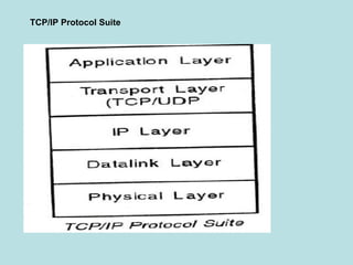 TCP/IP Protocol Suite
 