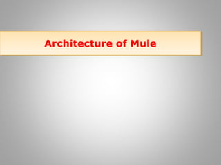 Architecture of MuleArchitecture of Mule
 