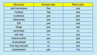 Architecture of prokaryotic and eukaryotic cells and tissues | PDF
