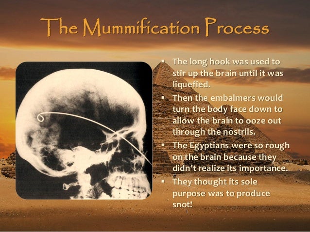 the embalming process of the ancient egyptians How did ancient egyptians prepare a body for burial witness the elaborate process of mummification in this slide show. the embalming process of the ancient egyptians How did ancient egyptians prepare a body for burial witness the elaborate process of mummification in this slide show.