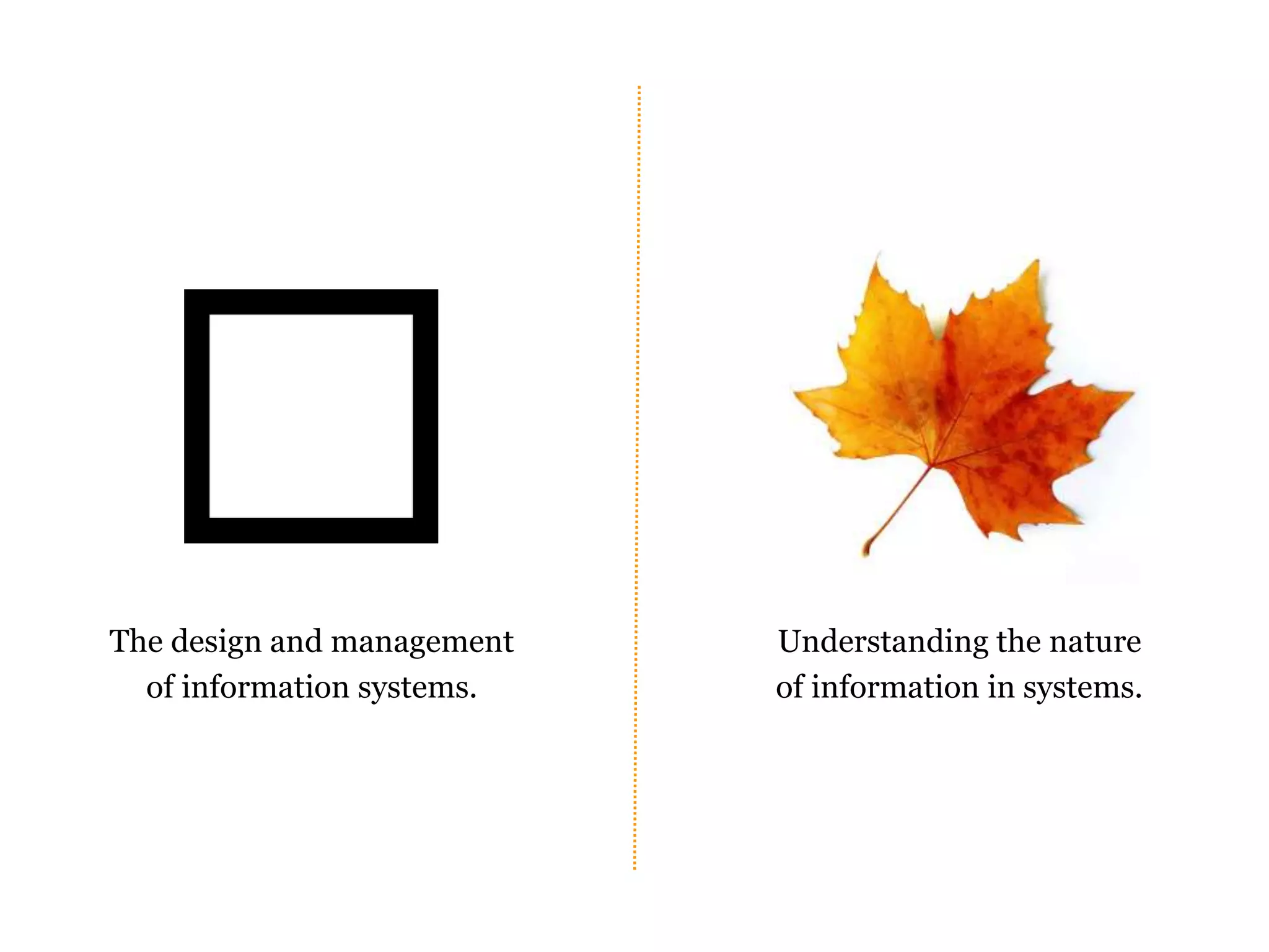 The design and management 
of information systems. 
Understanding the nature 
of information in systems. 
 