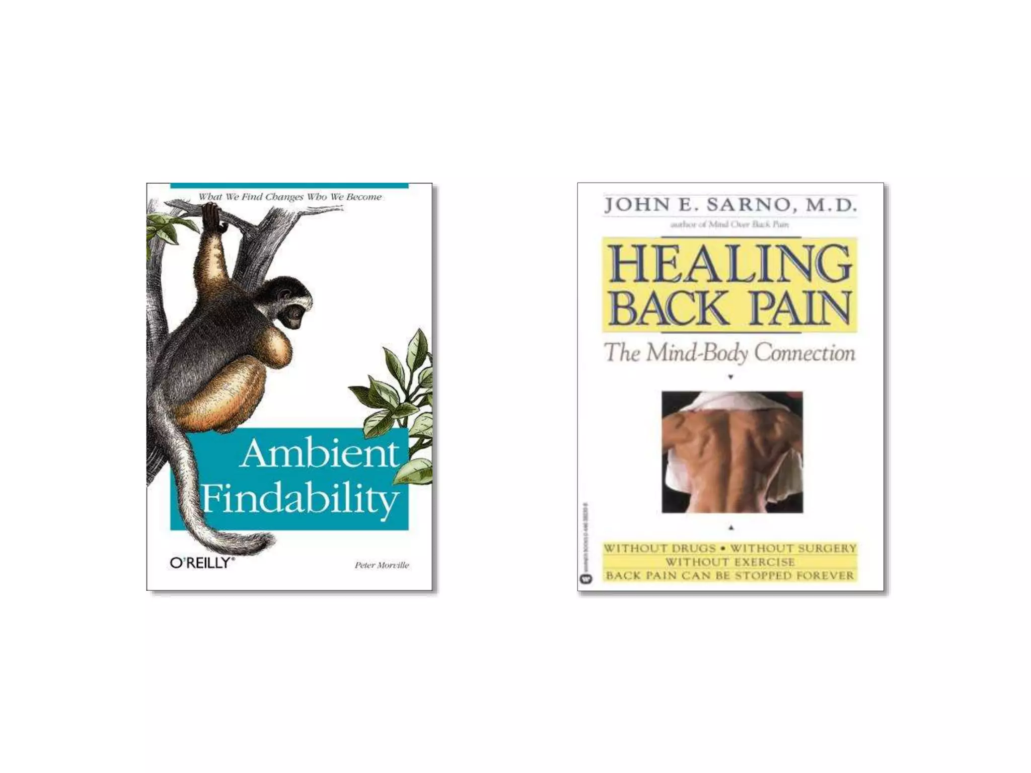 The relationship between information and culture. 
 