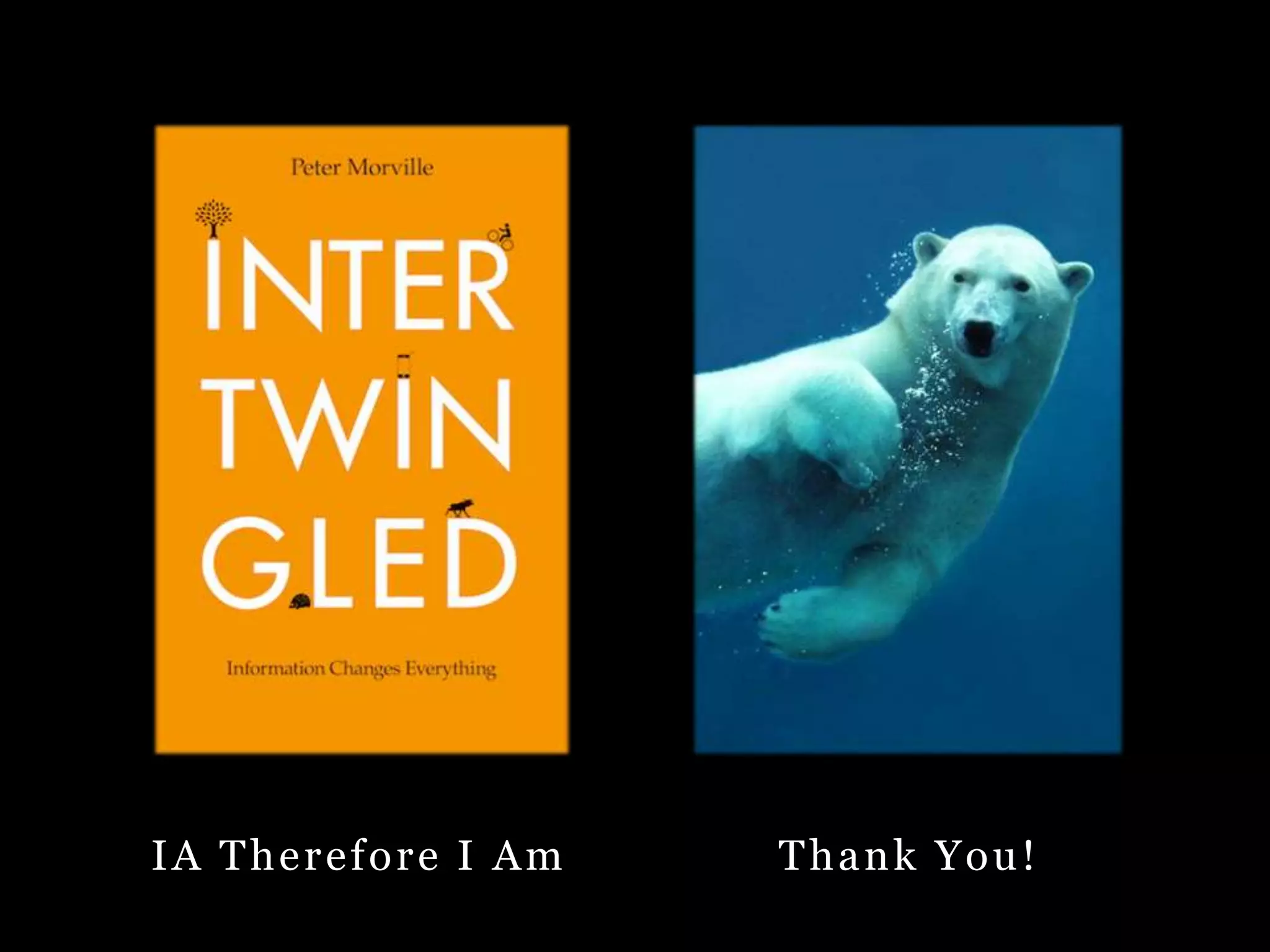 IA Therefore I Am Thank You! 
