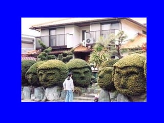 Architectures extraordinaires