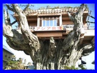 Architectures extraordinaires