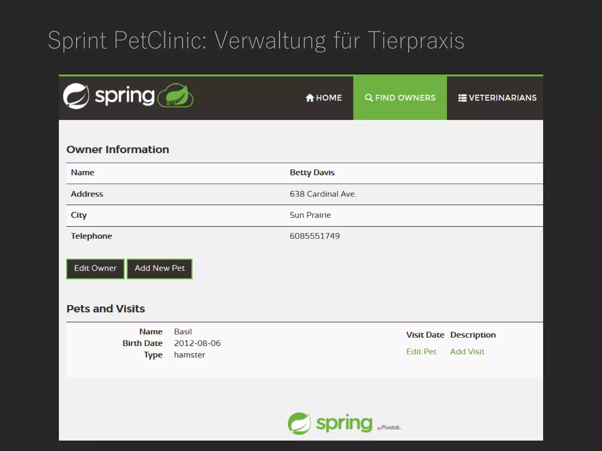 Sprint PetClinic: Verwaltung für Tierpraxis
 