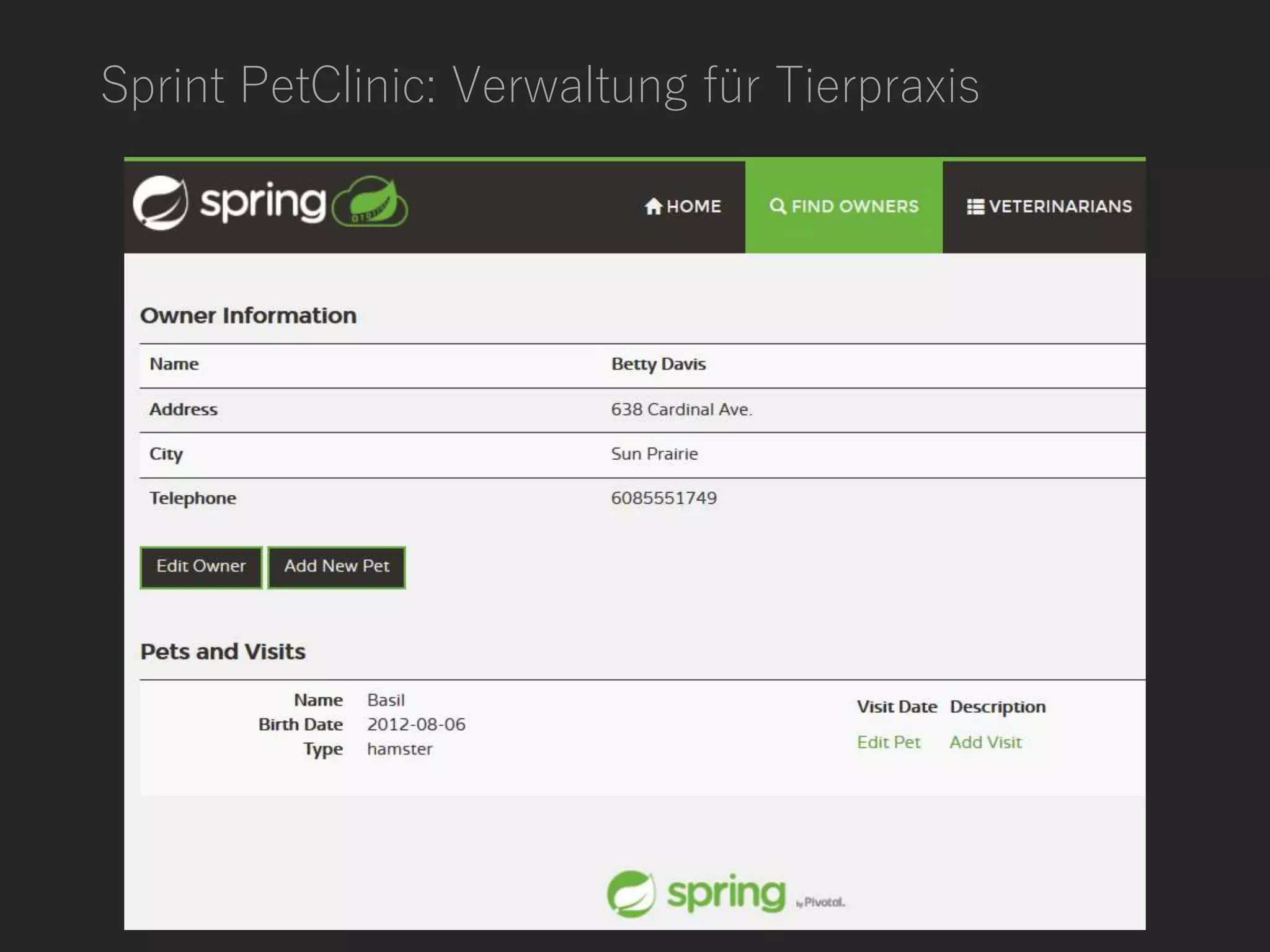 Sprint PetClinic: Verwaltung für Tierpraxis
 
