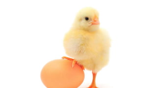 Creating Smart(er) Construction Contracts