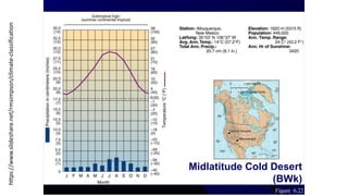 https://www.slideshare.net/rmsimpson/climate-classification
Midlatitude Cold Desert
(BWk)
Figure 6.22
 